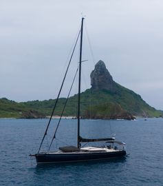 2009 Shipman 63