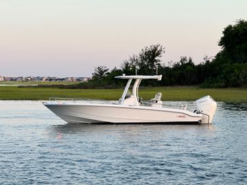 2024 Boston Whaler 250 Dauntless