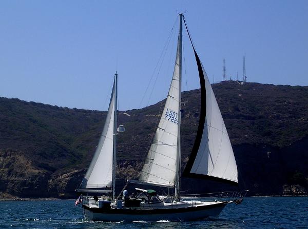 1985 Irwin 41