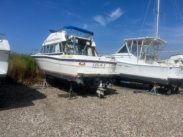 1985 Bayliner 2855 Ciera Sunbridge
