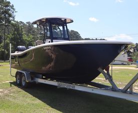 Tidewater 272 LXF 2022 Tidewater 272 LXF boat on trailer, parked on grass under clear sky.