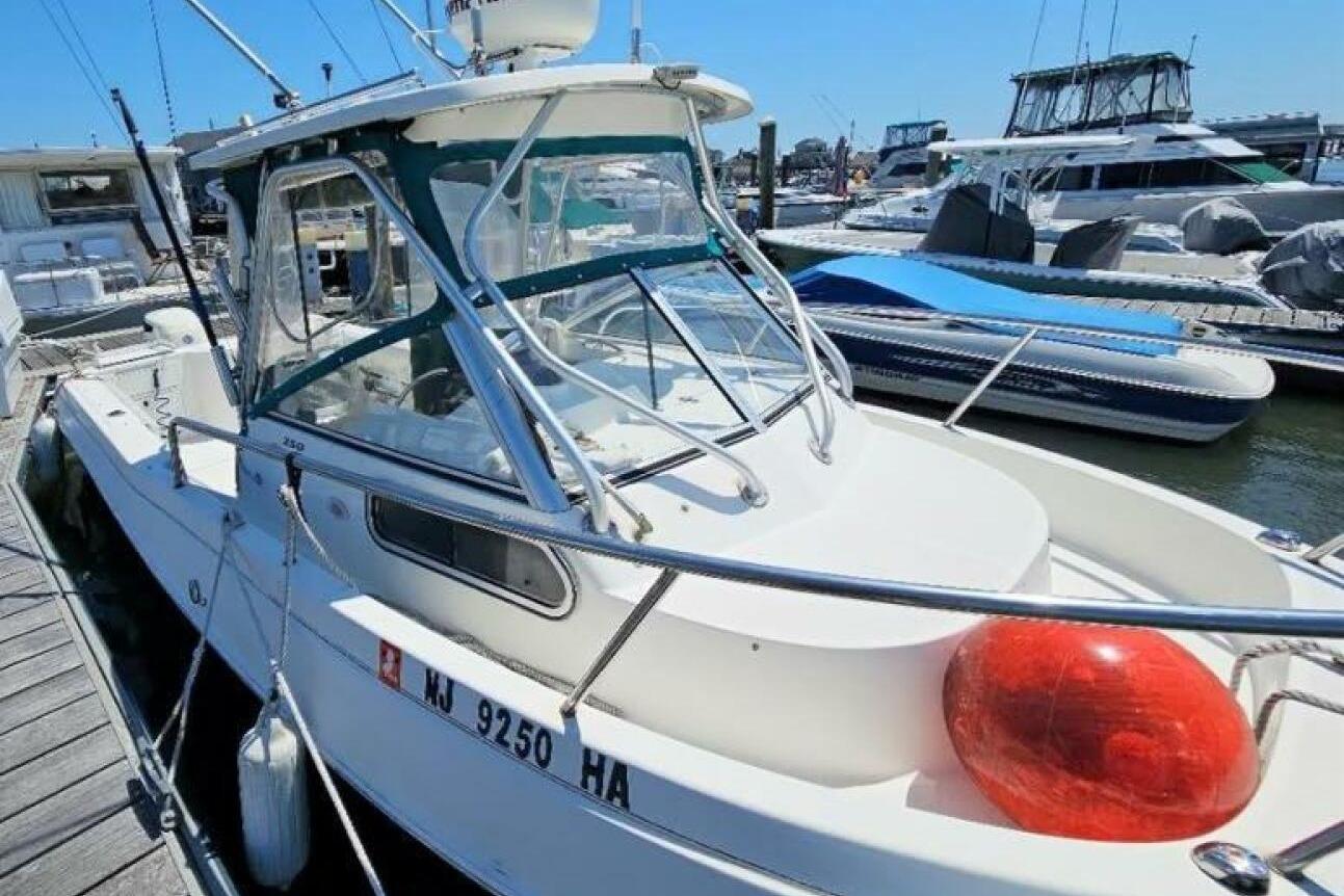2001 Aquasport 250 Explorer