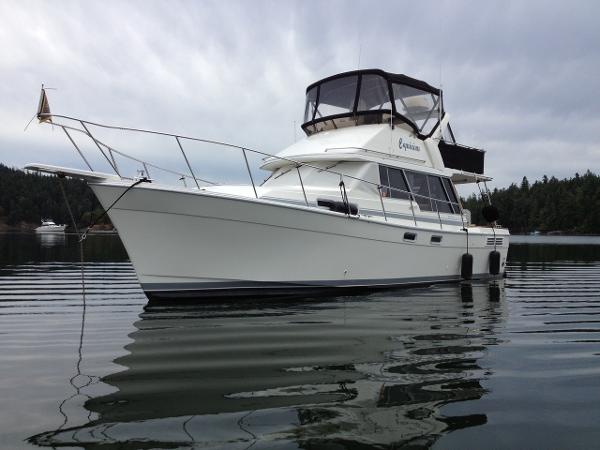 Bayliner boats for sale - boats.com