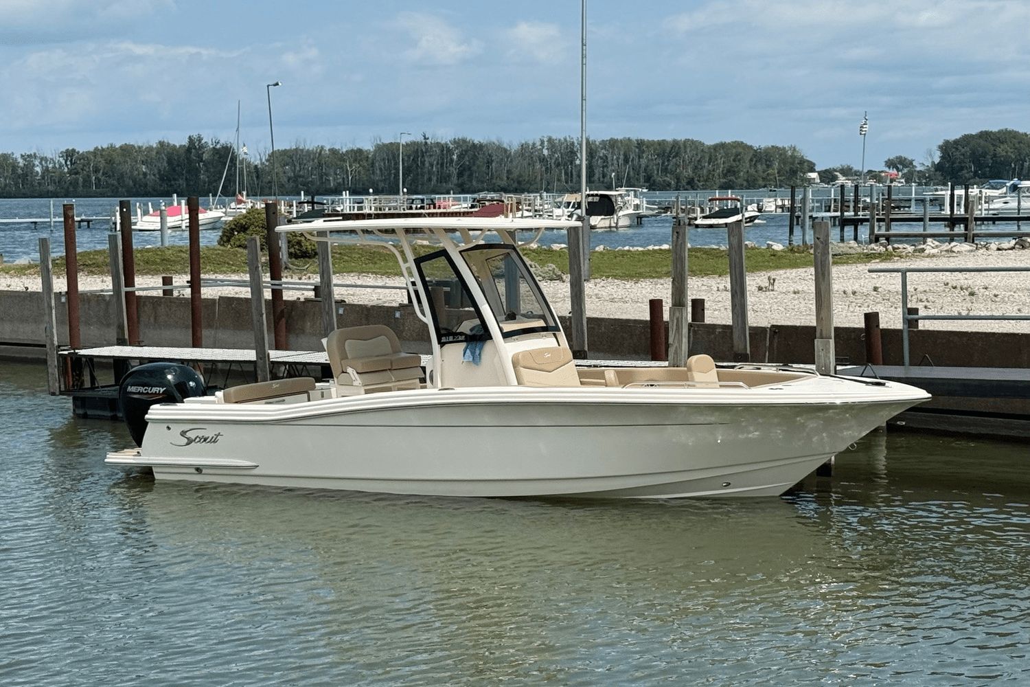 Scout 215 XSF
