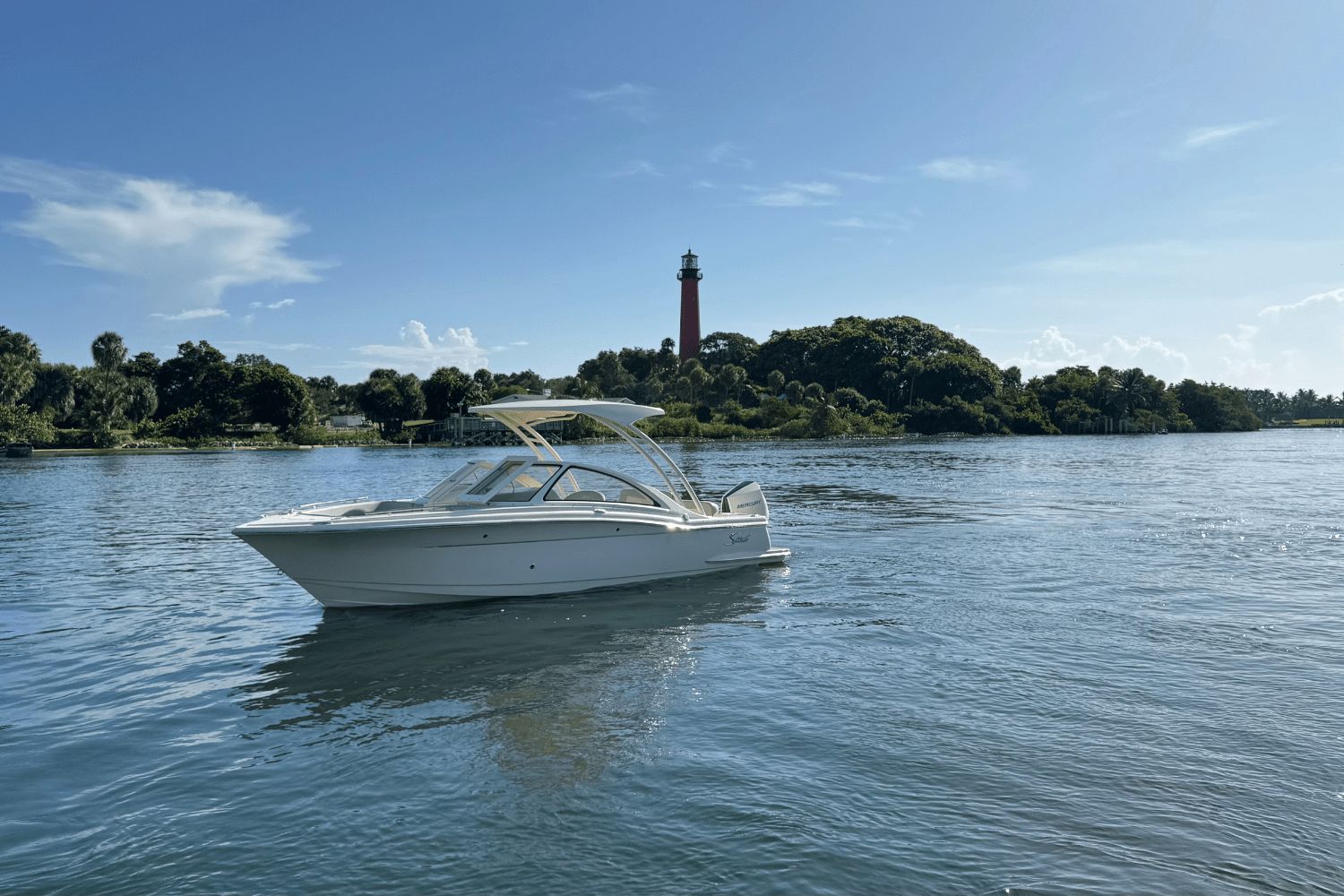 2025 Scout 240 Dorado