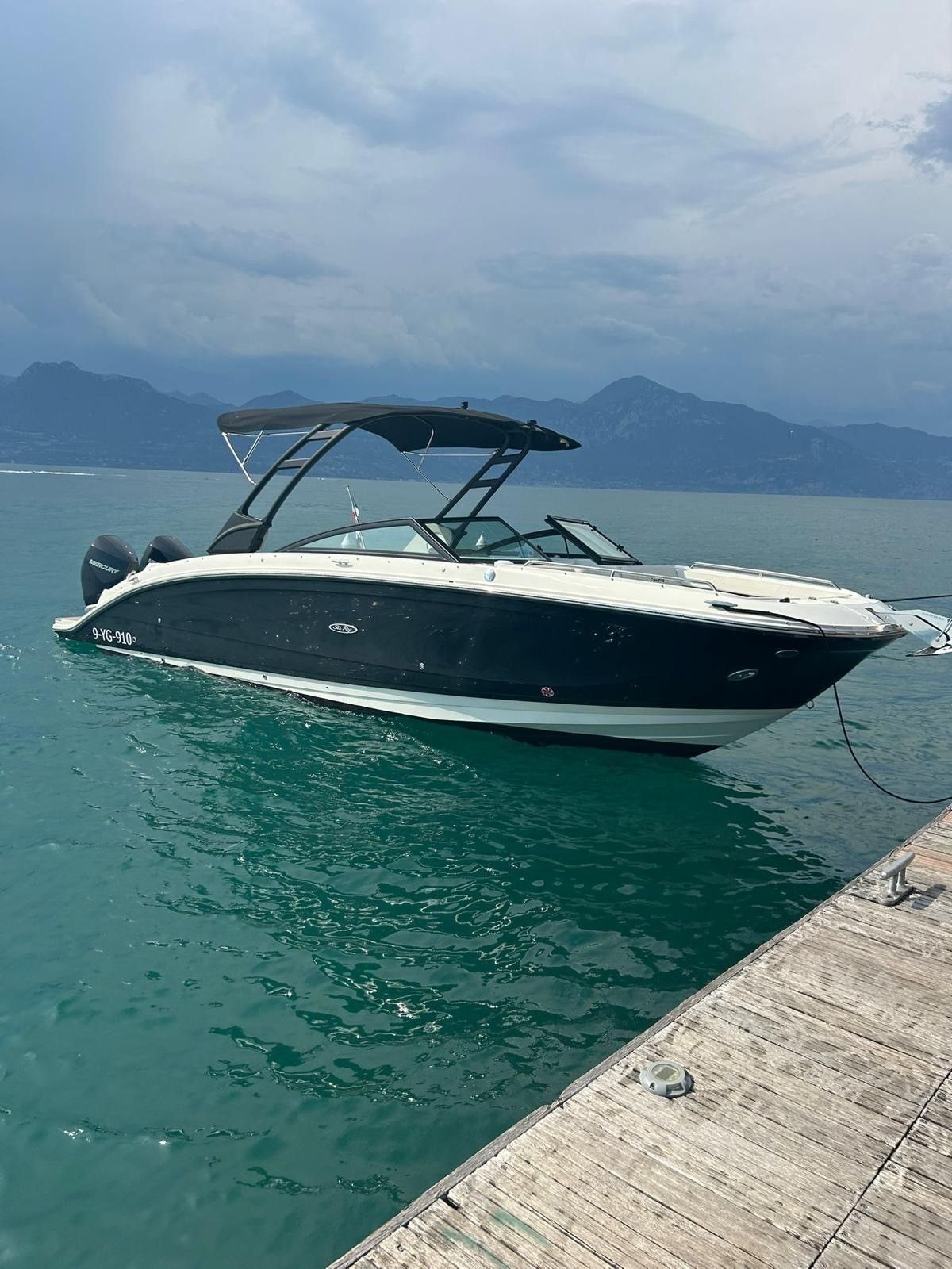 Sea Ray SDX 290 Outboard