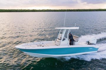 2025 Boston Whaler 250 Dauntless