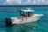 Robalo R300 Center Console thumbnail