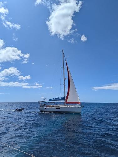 2011 Jeanneau 44i