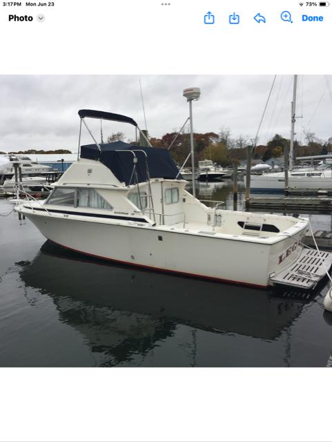 1974 Bertram 28 Flybridge