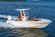 Robalo 246 Cayman thumbnail