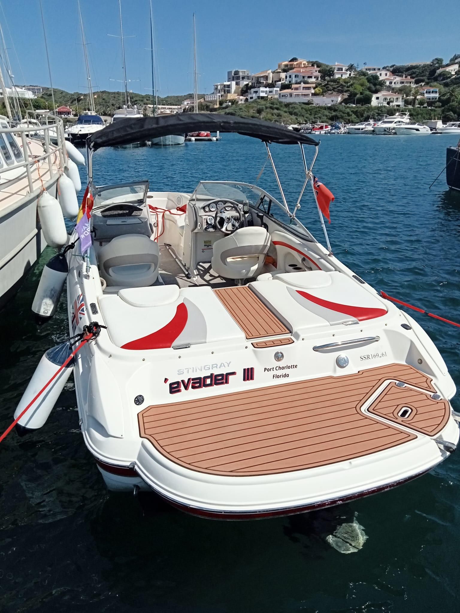 2010 Stingray 225LR