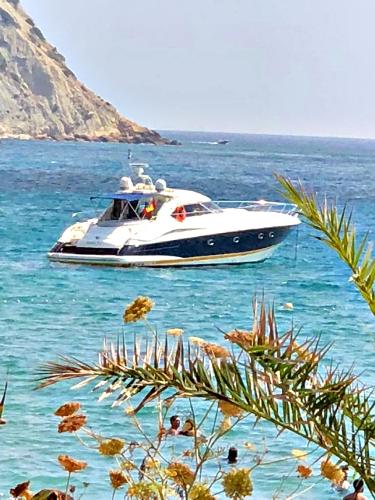 1999 Sunseeker Predator 58