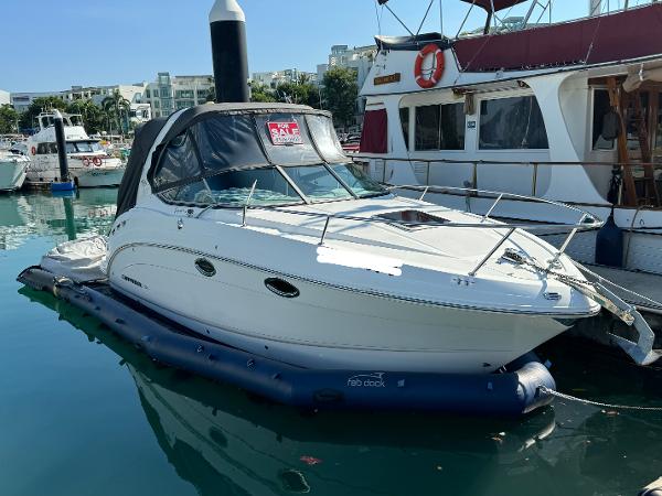 Chaparral Signature 250