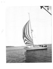 1984 Avance 36