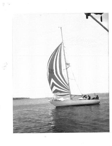 1984 Avance 36