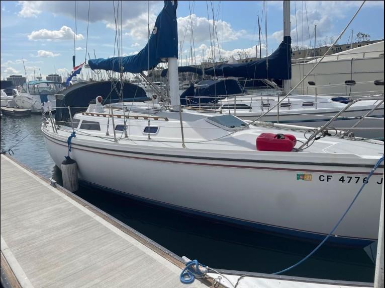 1989 Catalina 36