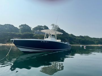 2007 Jupiter 29 FS