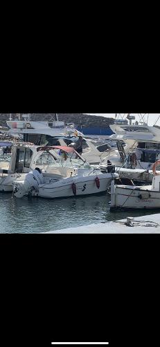 2012 Beneteau Flyer 650 Cabin Sport