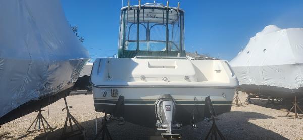 1997 Pursuit Denali
