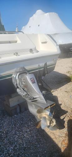 1997 Pursuit Denali