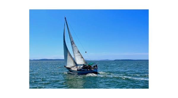 1980 Tartan 37