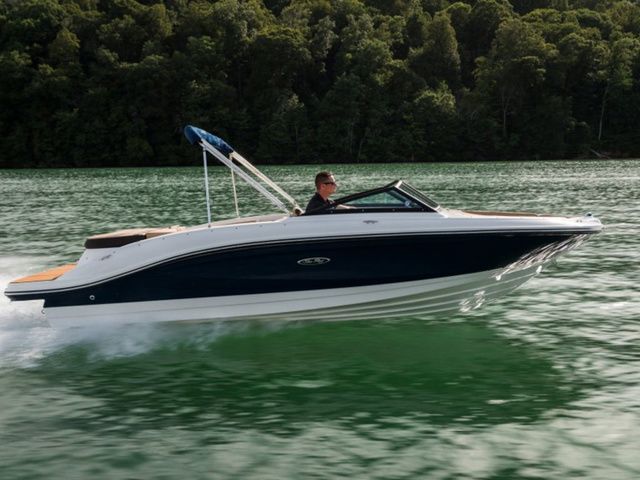 Sea Ray SPX 210 2023 Sea Ray SPX 210 boat cruising on a serene lake with lush forest backdrop.