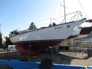1963 Cheoy Lee 36