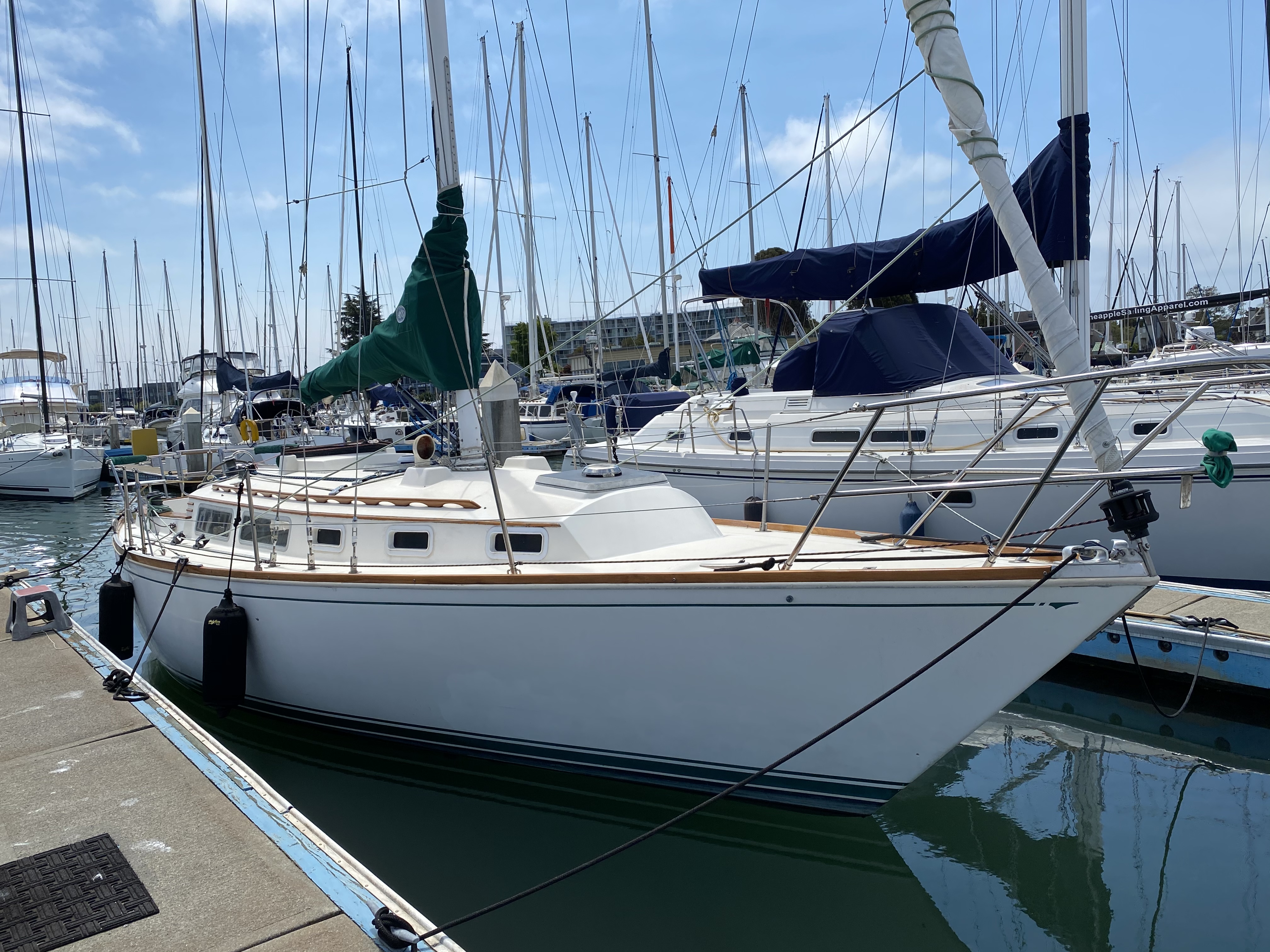 sabre yacht 34 for sale