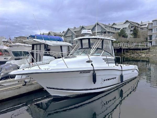 Seaswirl Striper Striper 2601