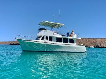 1980 Pacific Trawler 37