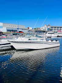 1990 Grady-White Marlin 280