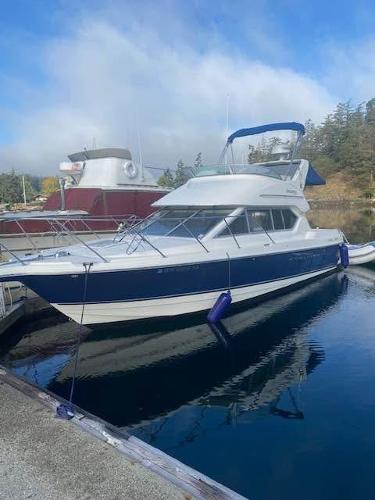 Bayliner Discovery 288