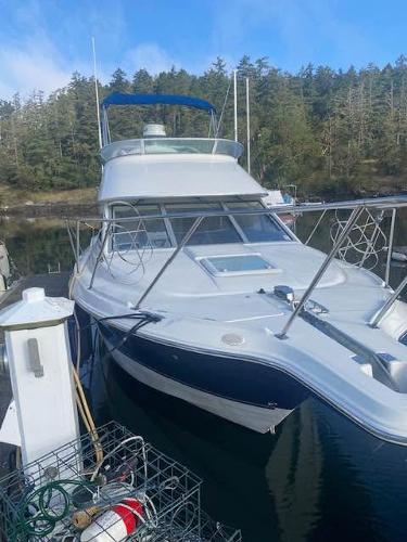 2008 Bayliner Discovery 288