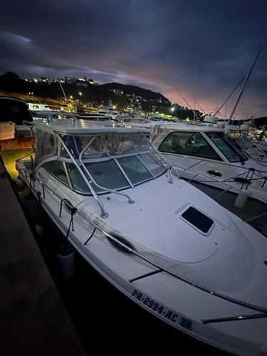 Wellcraft 290 Coastal