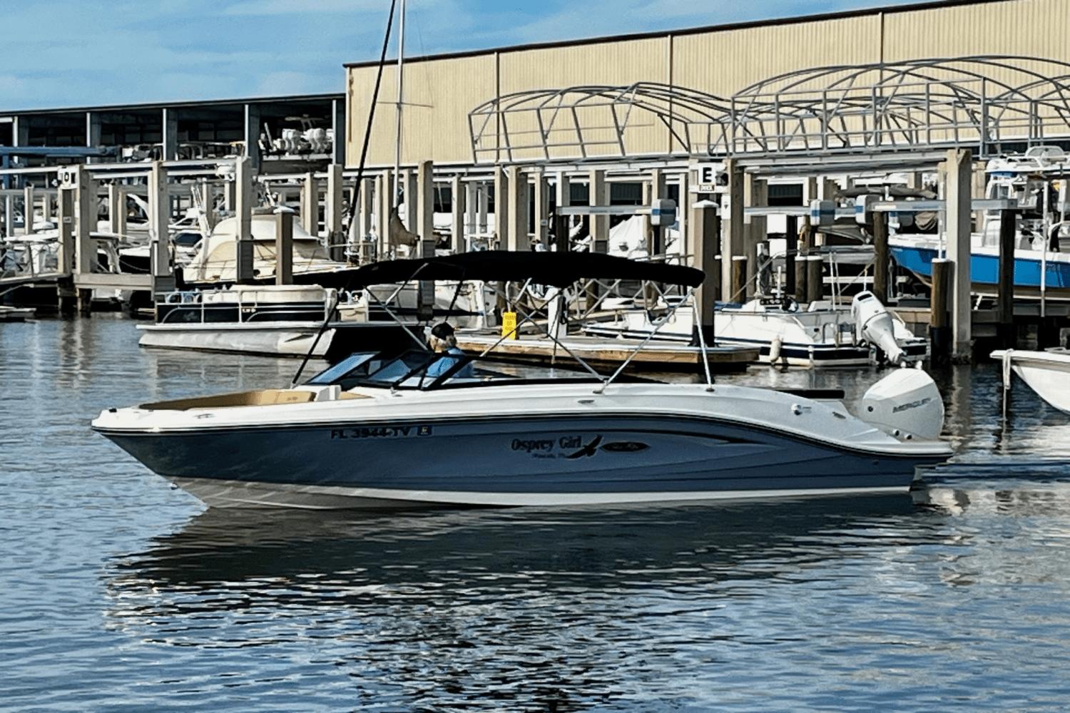 2024 Sea Ray SPX 230 Outboard