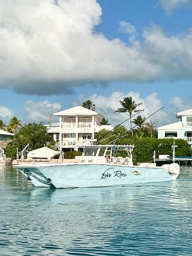 Invincible 46 Catamaran Invincible 46 Catamaran 2022 in serene waters near coastal homes.