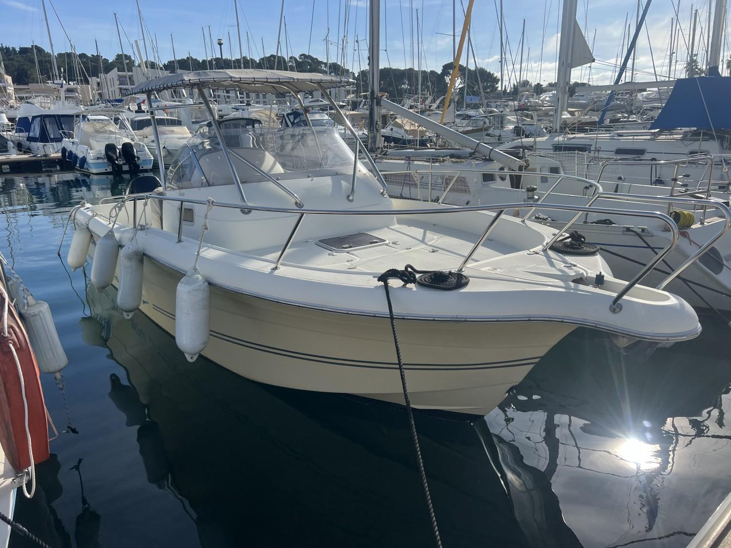 White Shark 268