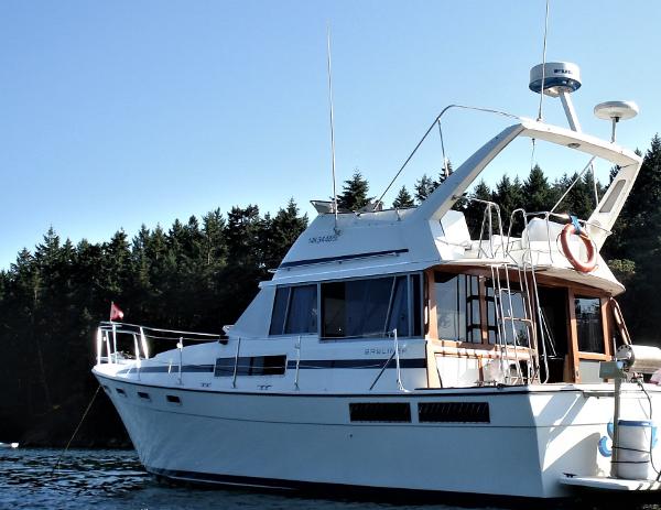 Bayliner 3870 Motoryacht 1984 Bayliner 3870 Explorer yacht on calm water, surrounded by trees.