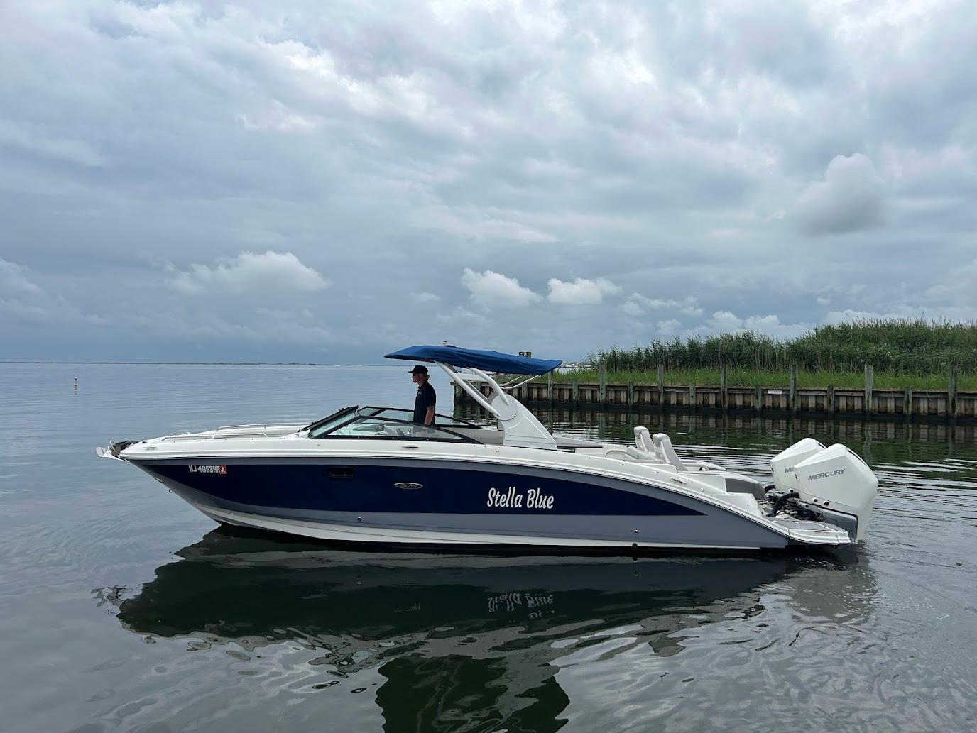 2020 Sea Ray SDX 290 Outboard
