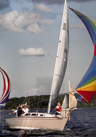 1982 S2 7.9