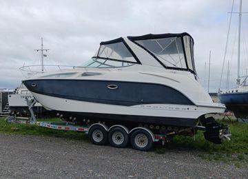 2008 Bayliner 300