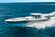 Intrepid 51 Panacea thumbnail