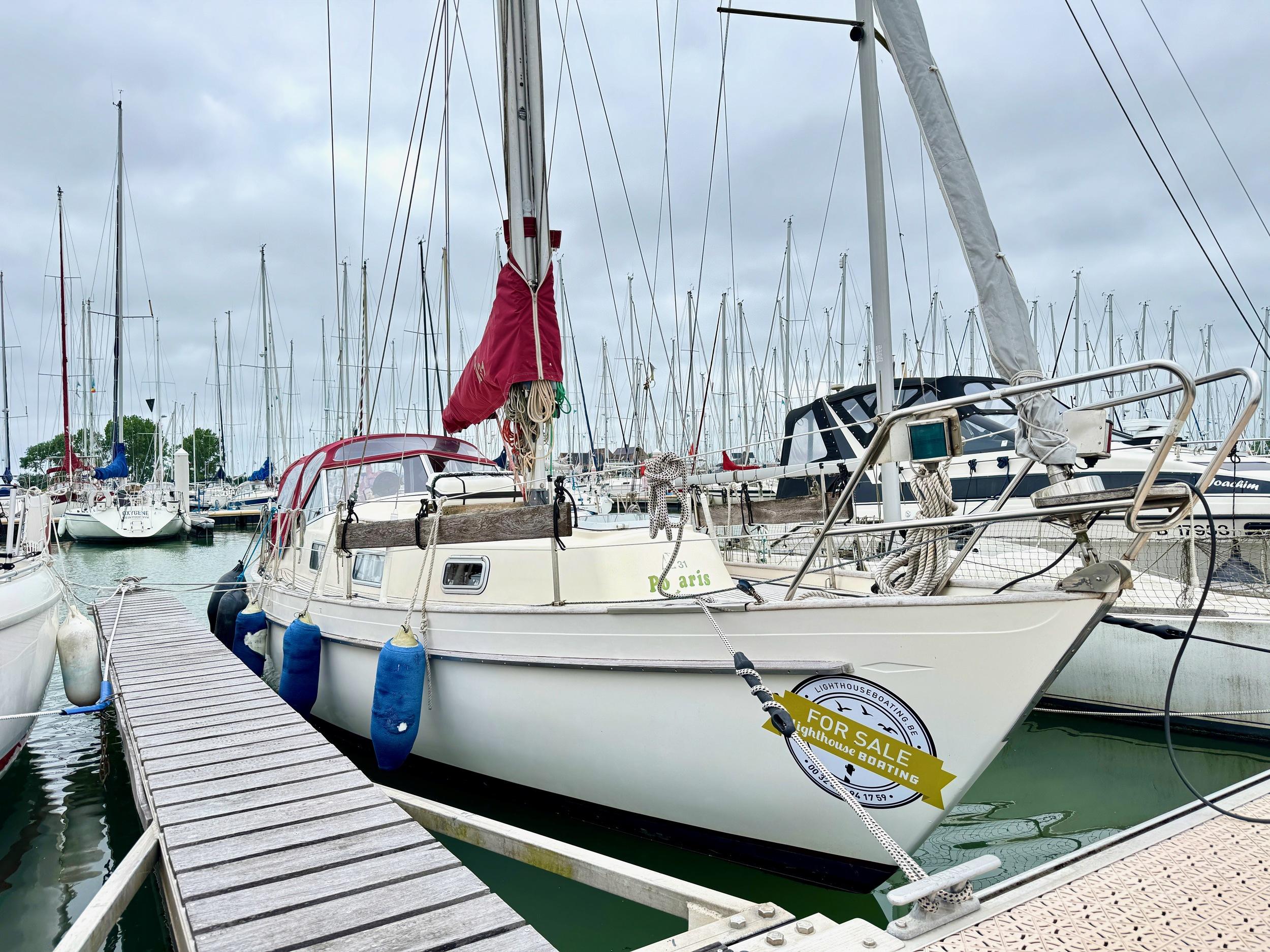 1982 Hallberg Rasssy Monsun 31