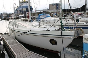 1982 Contest 31 HT