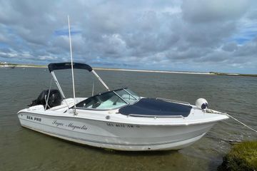 2007 Sea Pro 216