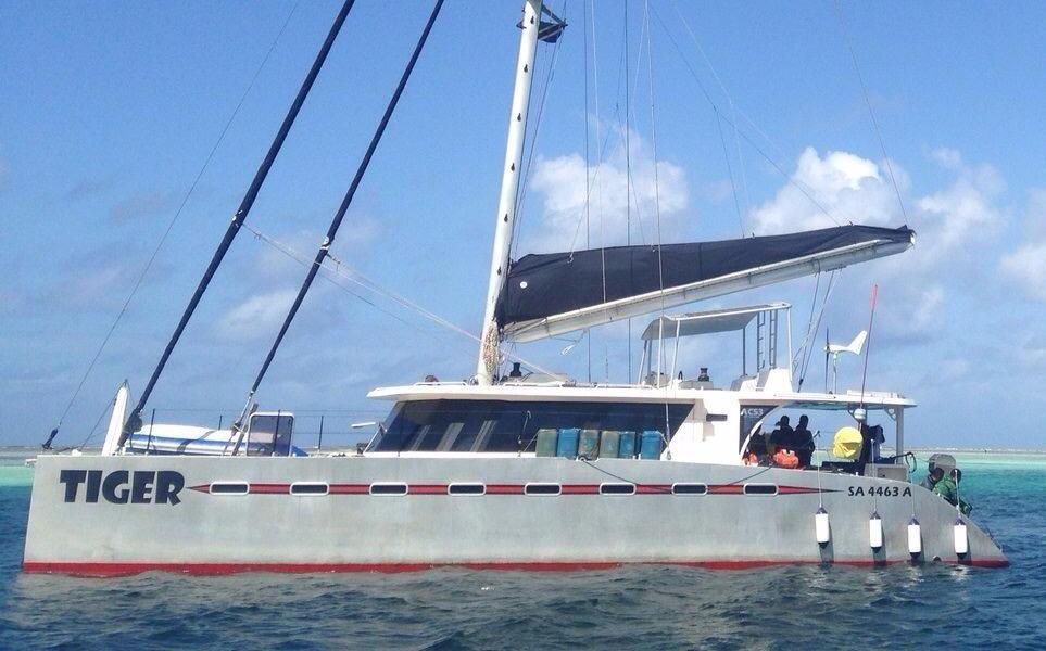 aluminum catamaran sailboat for sale