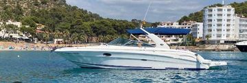 2002 Sea Ray 290 Bowrider