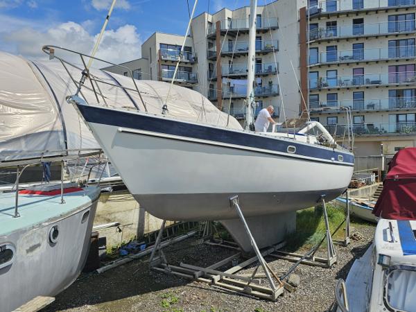 Custom Trident Marine Warrior 40 Trident Marine Warrior 40 for sale with Brighton Boat Sales
