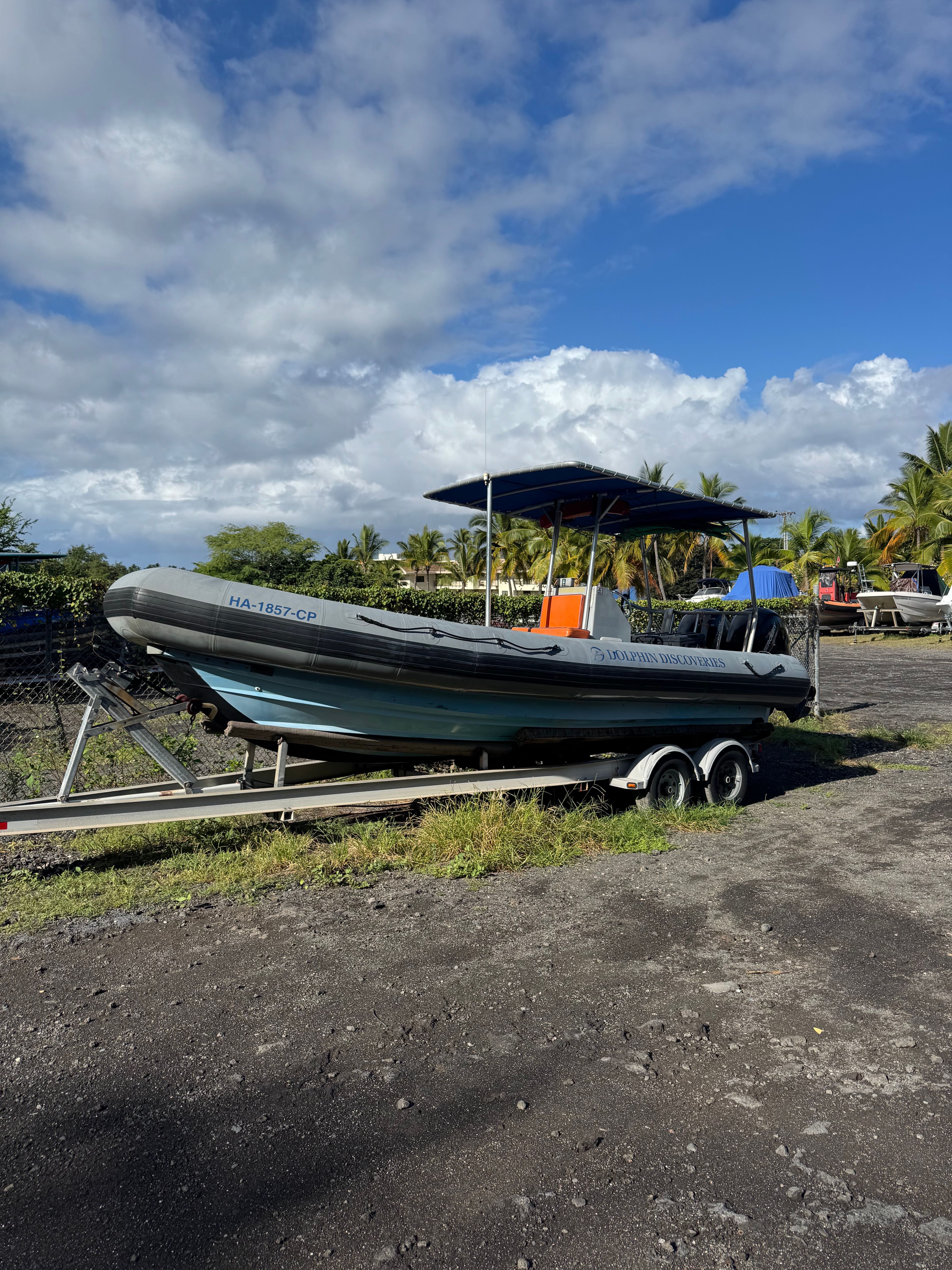 Zodiac Hurricane 733